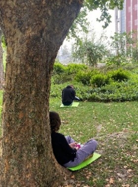 Estudiante practicando atención plena apoyado en un tronco