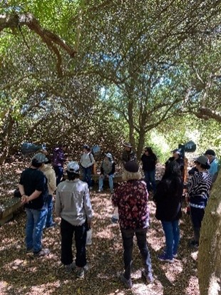 Participantes concentrados bajo la sombra del bosque del humedal