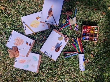 Material de arte botánico: hojas, lápices de colores y acuarelas sobre pasto