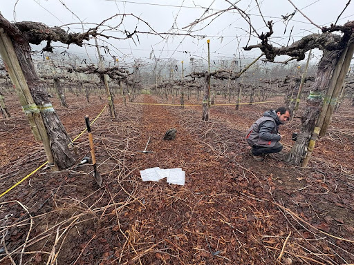 Mediciones en terreno en paisaje agrícola de O’Higgins