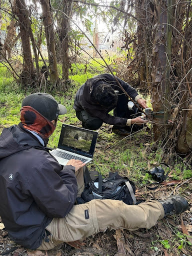 Monitoreo en terreno y registro de datos en bosque nativo