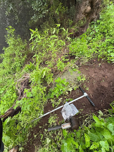 Muestreo de suelo y vegetación en bosque nativo